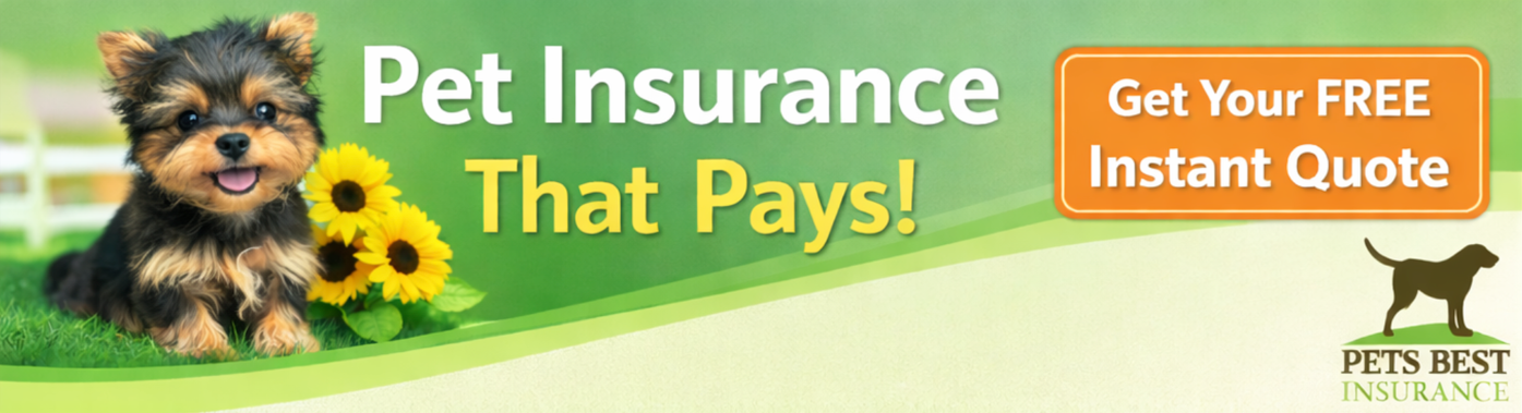 Pet Insurance - Get Your FREE Instant Quote